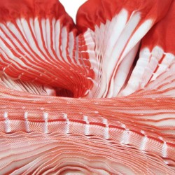 Maxi stole plissenpli pleated silk twill dyed and made by sophie guyot silks design in Lyon France