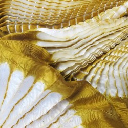 Foulard court en twill de soie, plissée sur deux pans. Bicolore : écru dans les plis et jaune chrome en surface.