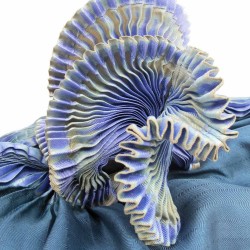 Scarf Coulipli pleated silk twill craftly made in lyon  by sophie guyot silk design