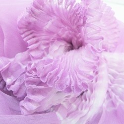 Scarf coplicot, two tones in silk chiffon white and one colour, pleated and dyed by sophie guyot soieries in Lyon, France