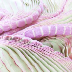 Long pleated scarf in 100% silk crepe de chine multicolor