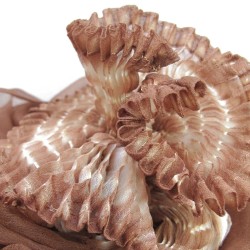 Scarf coplicot, two tones in silk chiffon white and one colour, pleated and dyed by sophie guyot soieries in Lyon, France