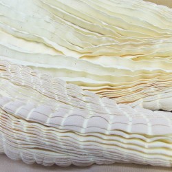 Longue écharpe plissée en crêpe de chine 100% soie multicolore