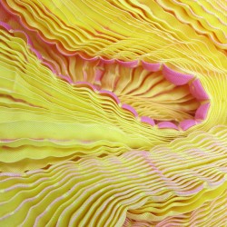 Longue écharpe plissée multicolore en twill de soie fabriqué teint sophie guyot soies à Lyon France