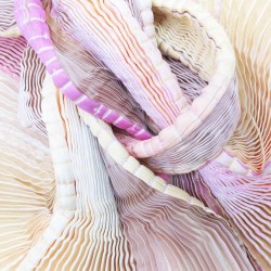 Longue écharpe plissée plicatwill multicolore en twill de soie fabriquée par sophie guyot atelier de soieries Lyon France