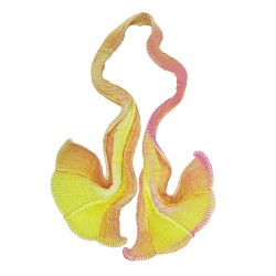 Longue écharpe plissée plicatwill multicolore en twill de soie fabriquée par sophie guyot atelier de soieries Lyon France