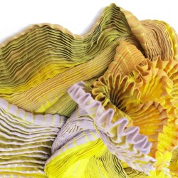 Longue écharpe plissée plicatwill multicolore en twill de soie fabriquée par sophie guyot atelier de soieries Lyon France