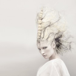 Wilfrid Karloff, veins big one trophy 2014