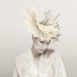 VEINS - Pleated Silk Organza