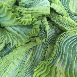 Award - Rotary Club du Rhône