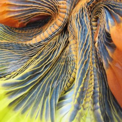 Étole juliette 041 multicolore en organza de soie plissé, teint et fabriqué à Lyon en France par Sophie Guyot Soieries, détail.