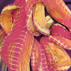 Longue écharpe plissée en crêpe de chine 100% soie, multicolore.